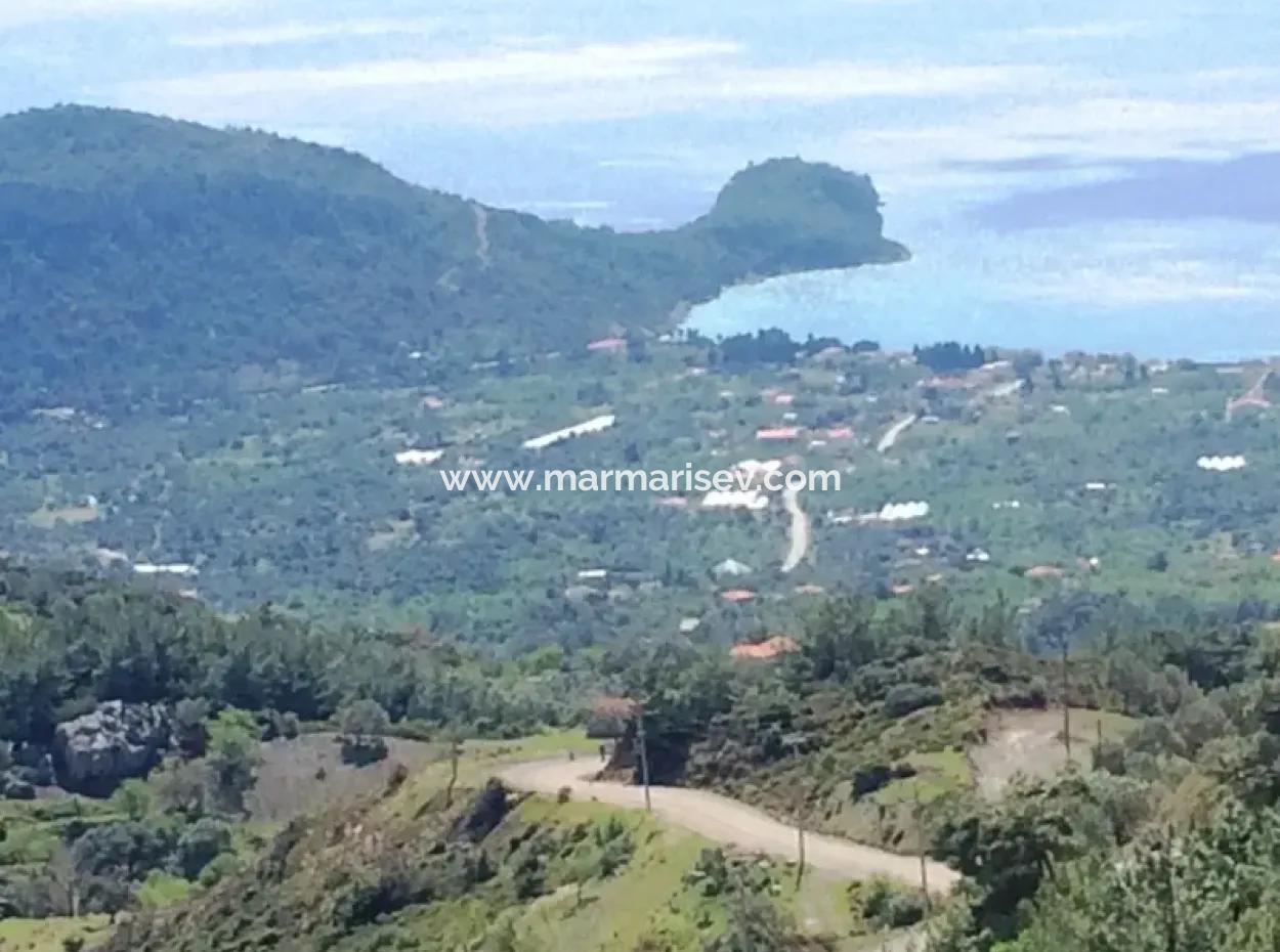 Grundstück Zu Verkaufen Mit Meerblick Mit 52000M2 Parzelle In Mugla Provinz Datca Bezirk Masoudye Nachbarschaft