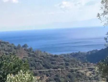 Grundstück Zu Verkaufen Mit Meerblick Mit 52000M2 Parzelle In Mugla Provinz Datca Bezirk Masoudye Nachbarschaft