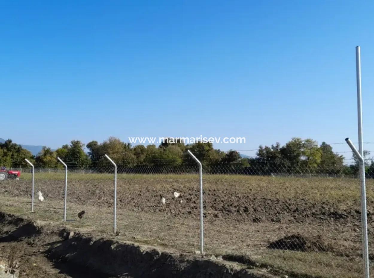 32000M2 Arable Avocados, Greenhouse Construction, Farms, Suitable For Livestock Land In Köyceğinz Döğüşbelen