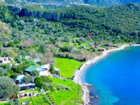 Marmaris Söğüt Köyünde Denize Sıfır 378M2 Yatırım İçin Uygun Satılık Tarla